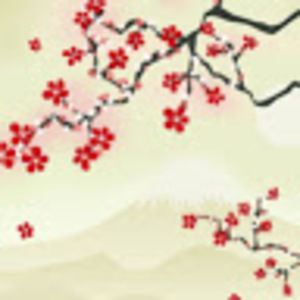 Meet your Posher, Isabelle